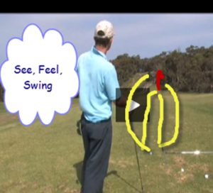 See Feel Swing